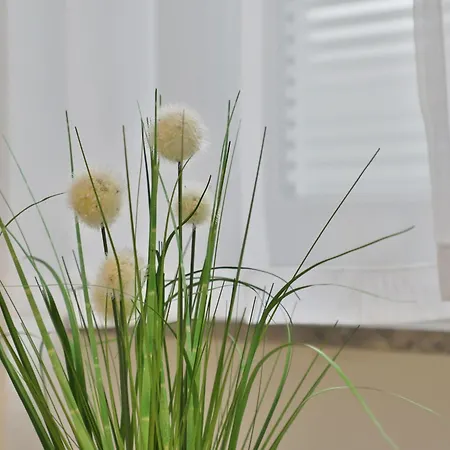 公寓 Moderne - Service Im *