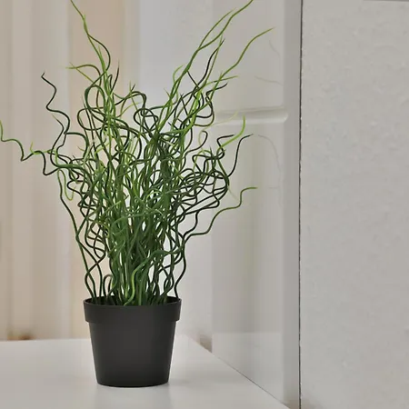 Moderne - Service Im 格平根