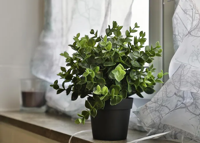 Moderne - Service Im غوبينغِن